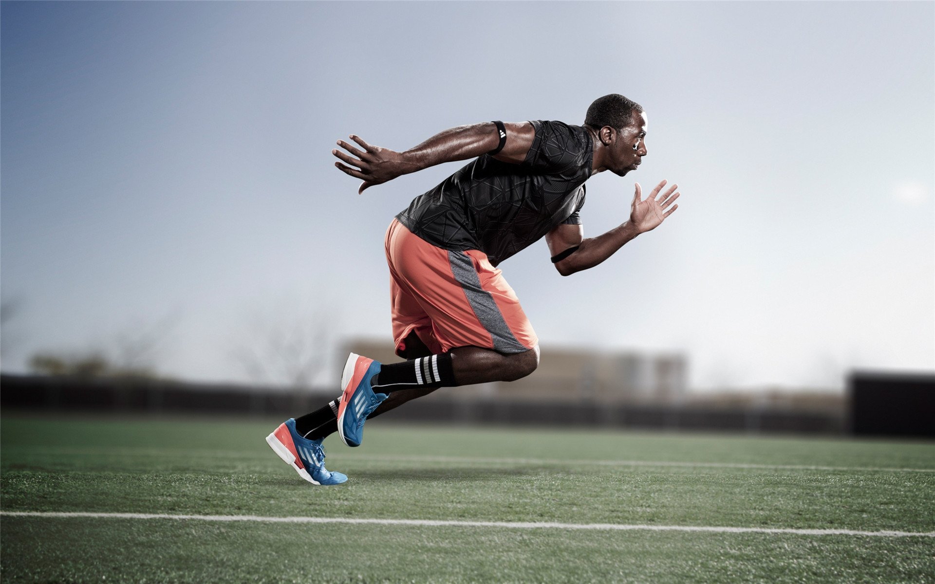 新球场设计方案正式公布